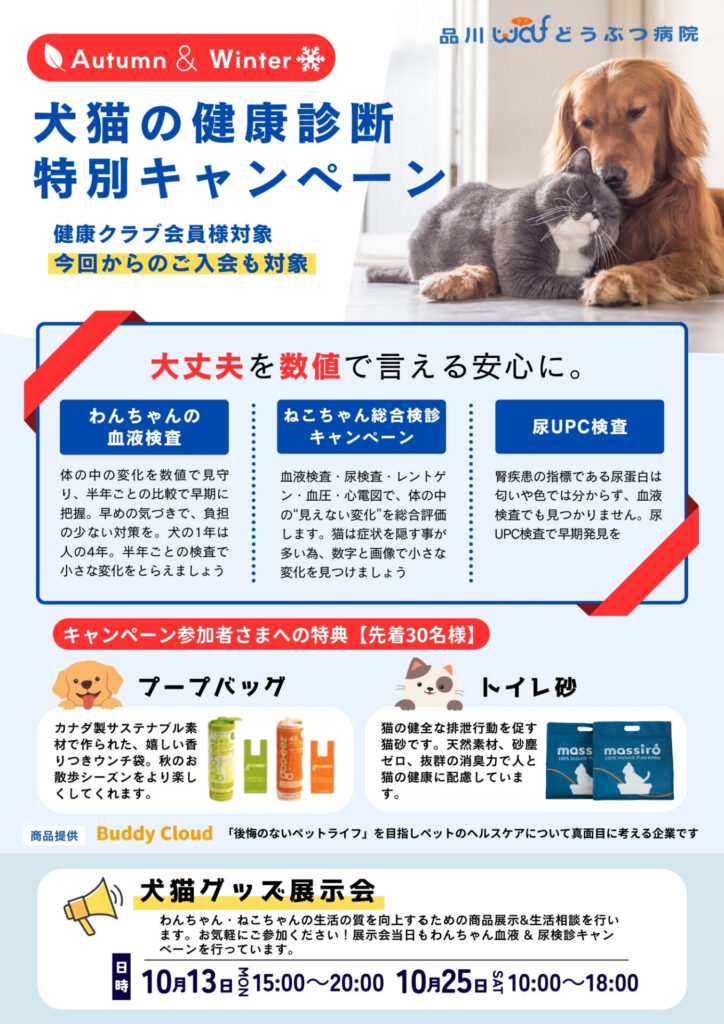 犬猫の健康診断特別キャンペーン | 品川区大崎・五反田の動物病院